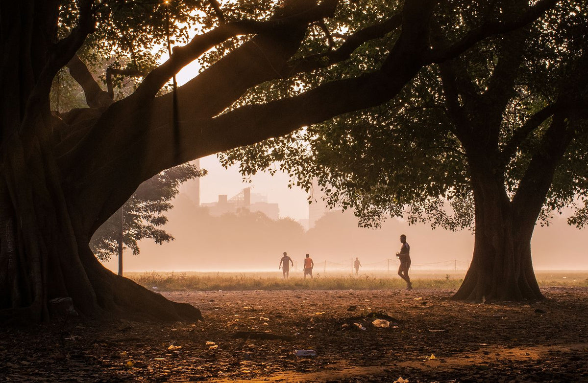 People in a Kolkata park in the early morning sun