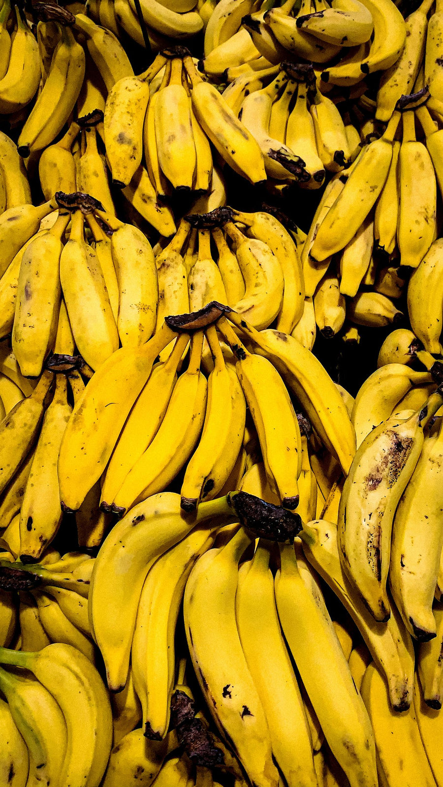 Bunches of ripe bananas