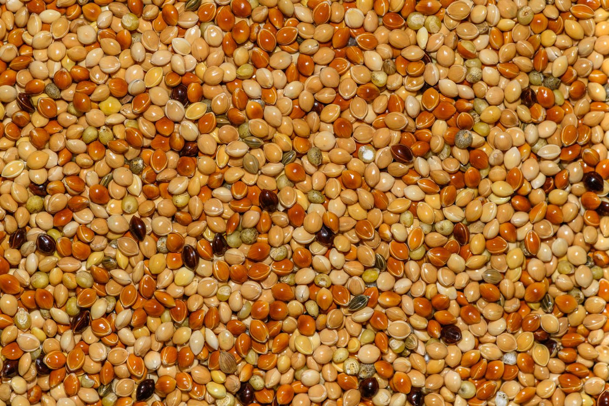 Mixed millet grains