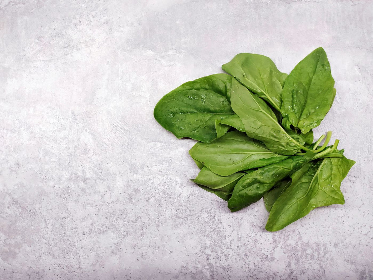 Fresh spinach (palak) leaves