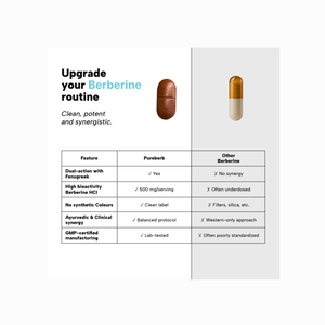 A promotional comparison graphic for Purerbert berberine capsules. The left side features the text 'Upgrade your Berberine routine' and a comparison table highlighting features of Purerbert versus other berberines.