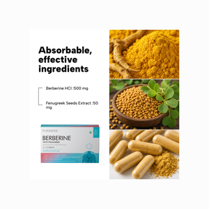 Product information graphic for Pureberine Berberine capsules, showing the product box, text reading 'Absorbable, effective ingredients' with berberine HCl 500 mg and fenugreek seeds extract 50 mg, and ingredient photos of yellow powder, seeds, and capsules.