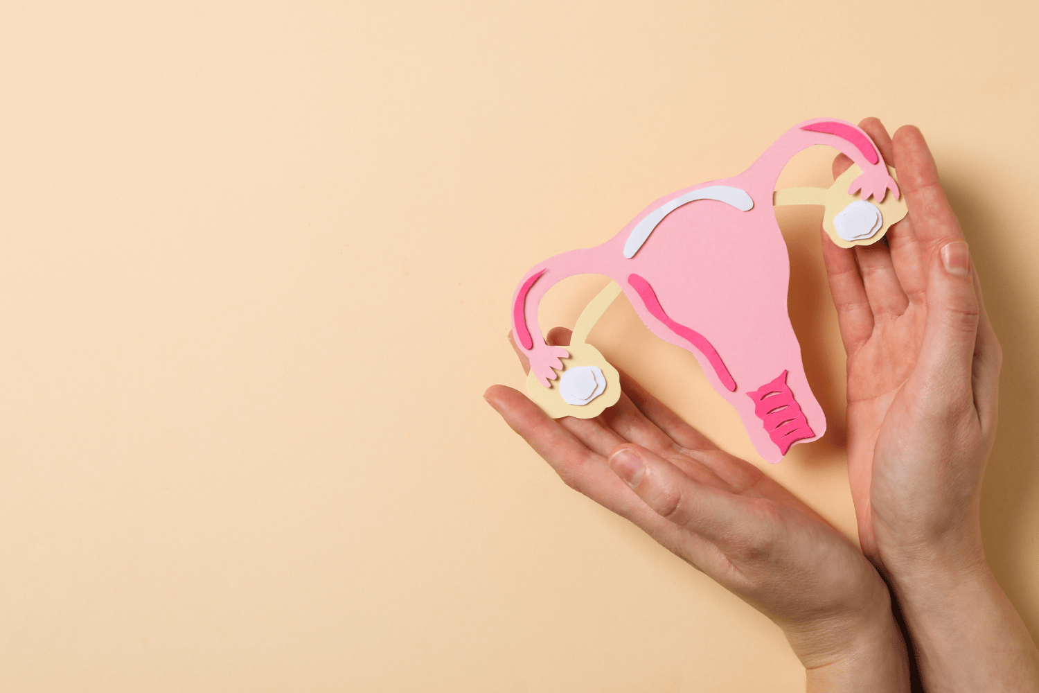 Fertility in Women: Causes, Signs & Tips for a Healthy Conception