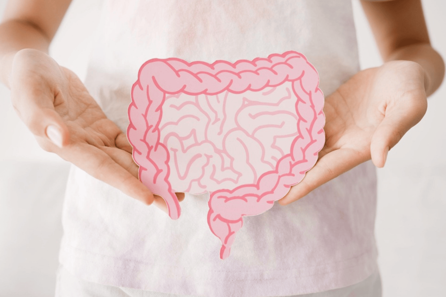 Gut Health: Why It Matters and How to Improve It