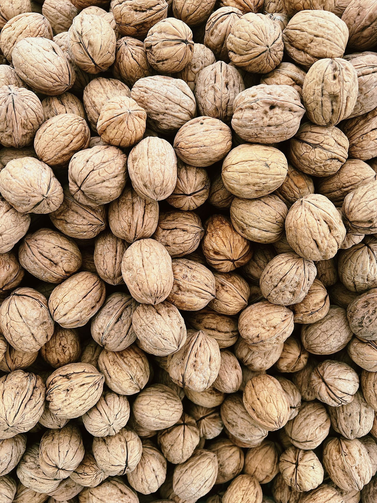 Walnuts, a plant source of omega-3 ALA