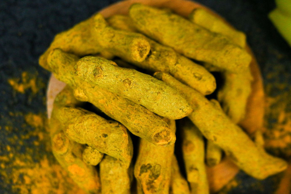 Fresh turmeric roots