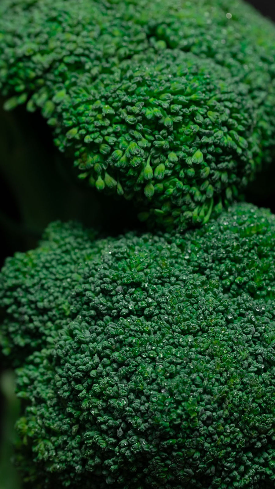 Fresh broccoli florets