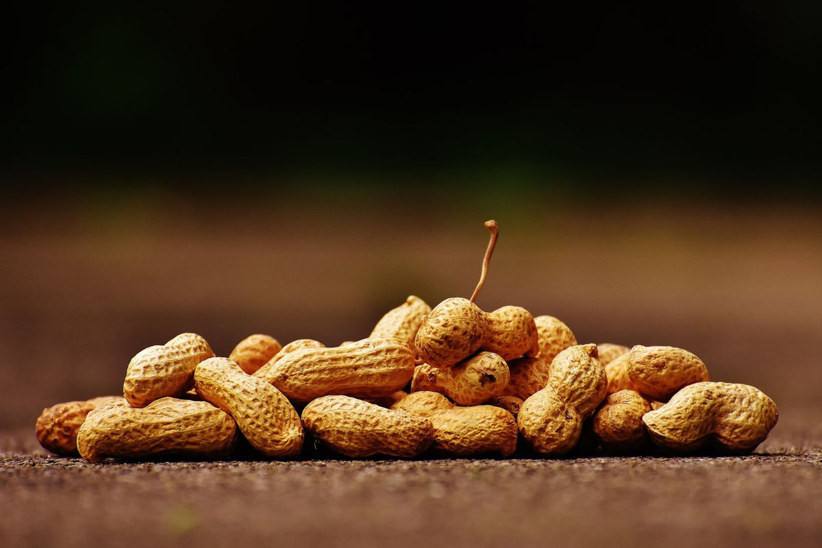 Peanuts in their shells