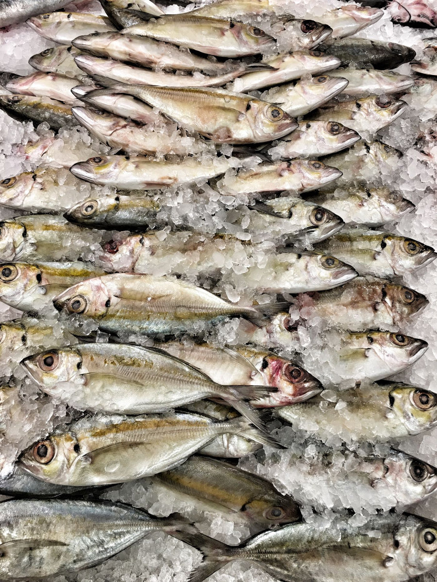 Fresh mackerel on ice at a fish market