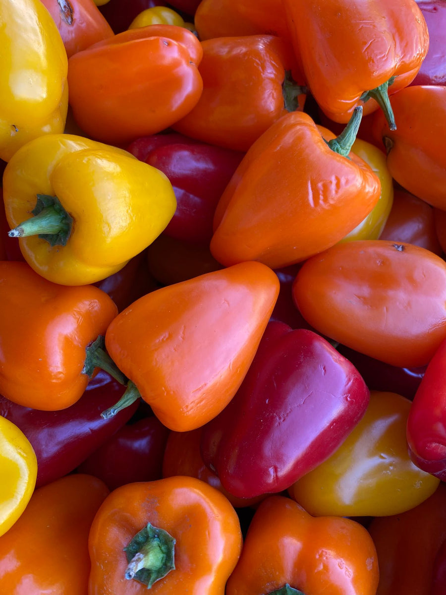 Red, orange and yellow capsicum (shimla mirch)